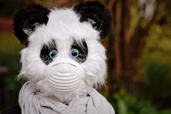 Pronto Kasyno Wsparcie